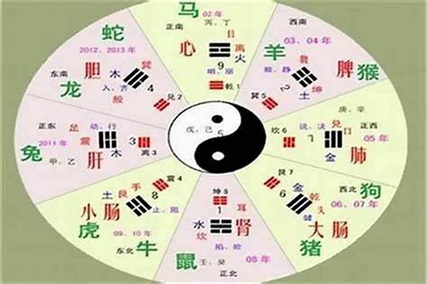 僖五行|铫字的五行属性